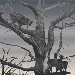 A Tree의 코끼리는 배경에 전체 달을