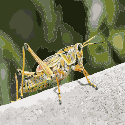 잎에 Grasshopper