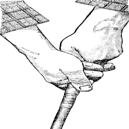 hands holding cane