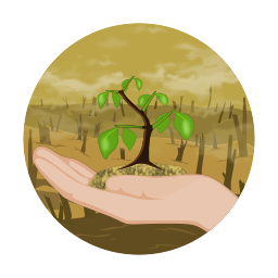 small tree in hand