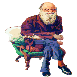 An Old Man Sitting In A Chair
