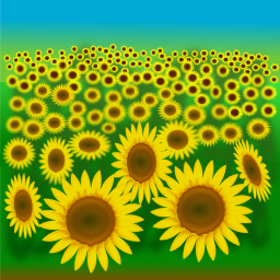sunflower 필드 일러스트