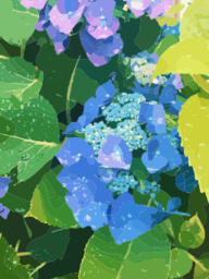 푸른 hydrangea 꽃 클러스터