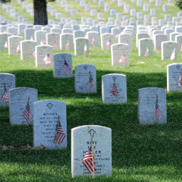 cemetery 와 flagged 자