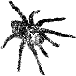 스파이더 silhouette