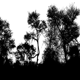 어두운 숲 닫집 silhouette