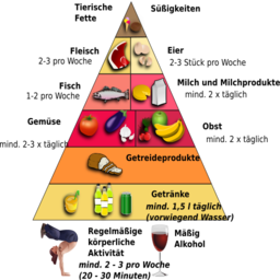 독일 음식 pyramid infographic