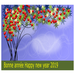 새해 복 많이 받으세요 2019 베리와 휴일 인사