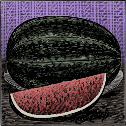 watermelon 전체 및 조각 색깔 조각 삽화