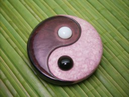 초록색 잎 위의 yin symbol