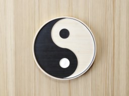 yin symbol이 있는 door