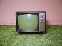 초록색 carpet 안의 앞 분홍색 wall 위에 앉아 있는 television