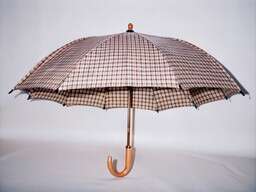 Umbrella Is Brown and White