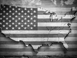 나무 wall 위의 american flag 안의 shape map