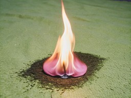 초록색 들판 한가운데의 분홍색 flame