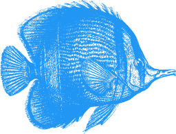 blue silhouette beaver goldfish