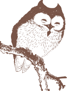 owl sitting on branch with its eyes closed