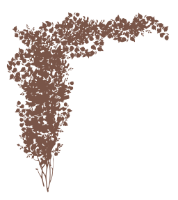 brown silhouette lakeshore coral fungus