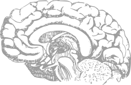 gray silhouette gyromitra brain coral