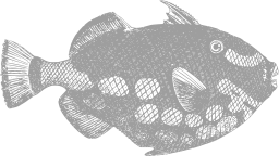 gray silhouette leatherback sea turtle pufferfish