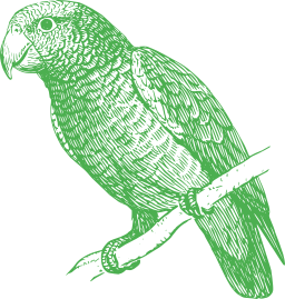 green parrot perched on branch