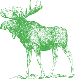 green silhouette bison bighorn sheep