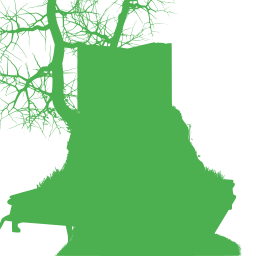 green silhouette butternut squash library