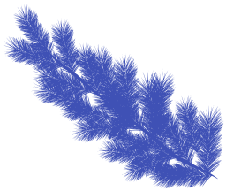 indigo silhouette promontory coral reef