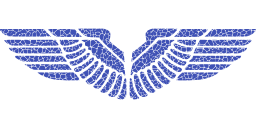 indigo silhouette vulture airplane wing