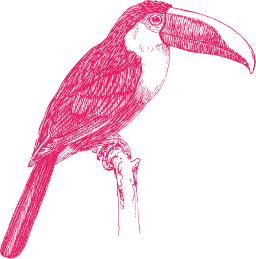 pink silhouette macaw toucan
