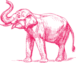 pink silhouette tusker african bush elephant