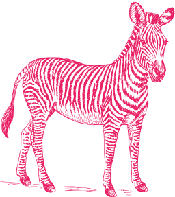 pink silhouette zebra tiger