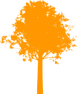 orange silhouette acorn 2