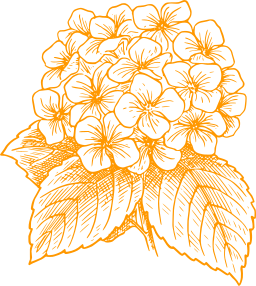 orange silhouette hen of the woods mushroom cauliflower