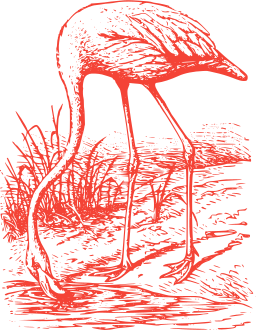 purple silhouette flamingo spoonbill 000138