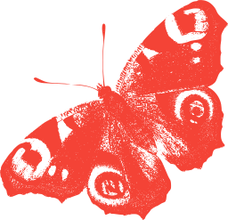 자주색 silhouette 빨간 감탄 나비 ringlet 나비 000205