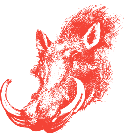 purple silhouette red wolf or maned wolf red fox 000877