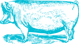 A Cow On A White Background