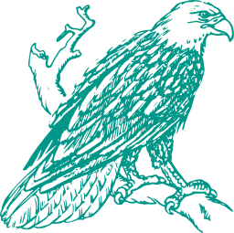 eagle perched on branch of a tree