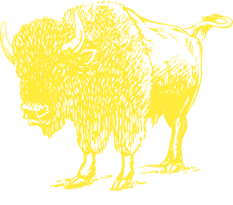 yellow silhouette bison japanese chin