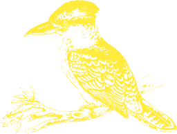 bird sitting on branch of a tree
