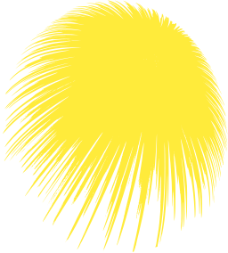 yellow silhouette porcupine sea urchin