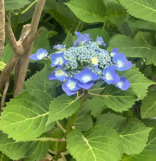 파란 꽃 파란 잎