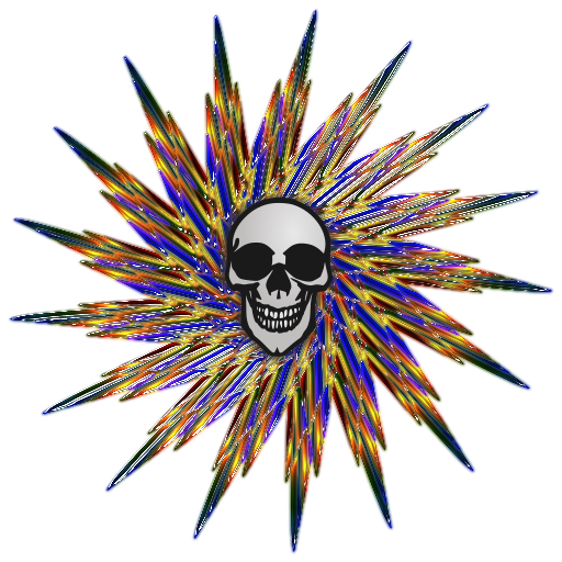 다채로운 skull 요약 skull