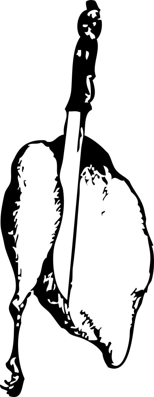 A Black and White Drawing of a Person Riding a Horse