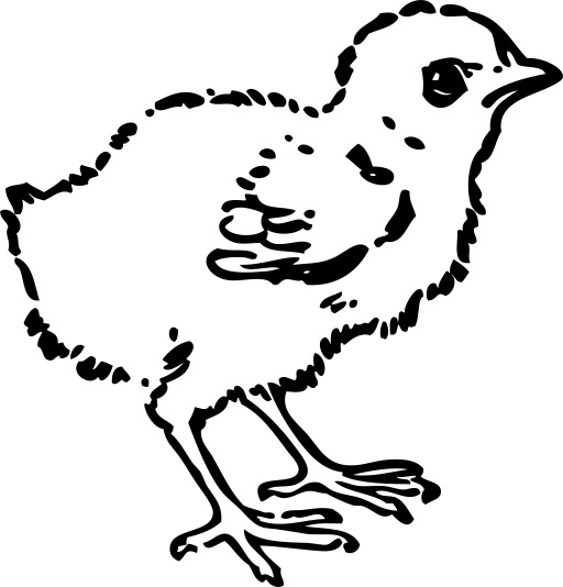 긴 Beak과 작은 새의 검은 색과 흰색 그림