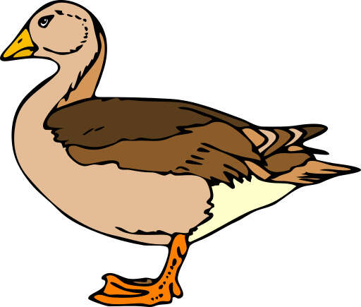 A Cartoon Duck with a Brown Body and Orange Feet