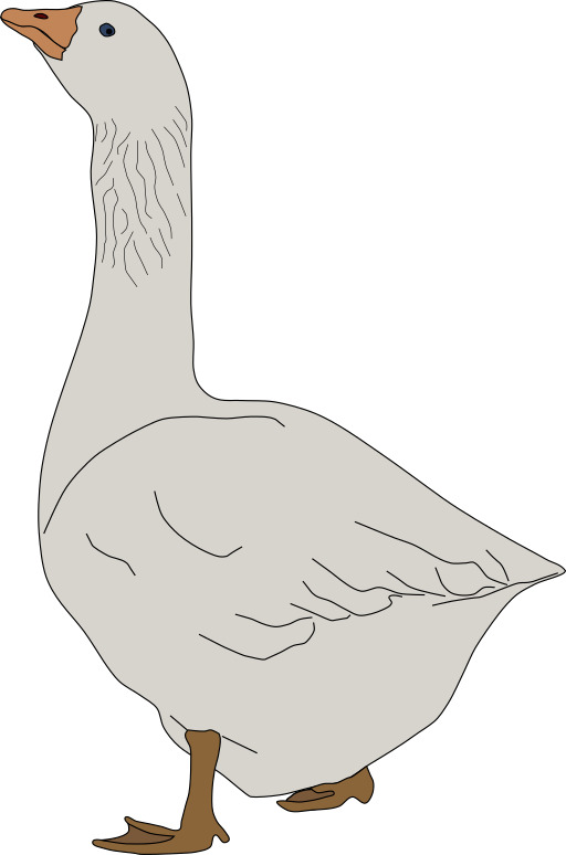 만화 Goose Standing 에 한 다리 과 보고 에 the 측
