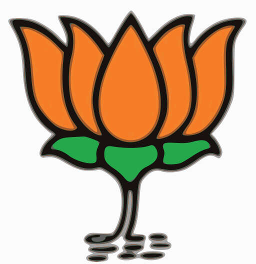 A Cartoon of a Flower with a Green Stem and Orange Petals
