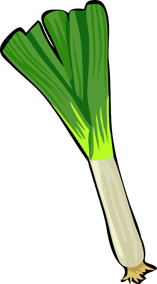 만화의 녹색 양파 와 a stalk sticking 아웃 의 그것